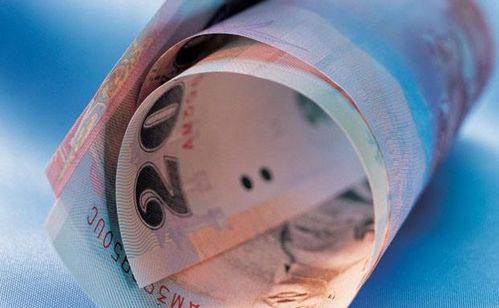 歐元與油價(jià)同步上漲 加劇歐洲央行鷹鴿陣營(yíng)分化，自有資金對(duì)外投資前景幾何？