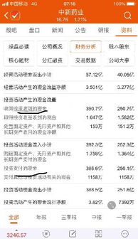 中新藥業(yè)對(duì)外投資資金性質(zhì)解析 自有資金與借貸資金的權(quán)衡