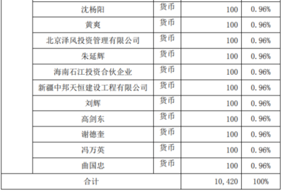自有資金對外投資 策略、優勢與風險管控